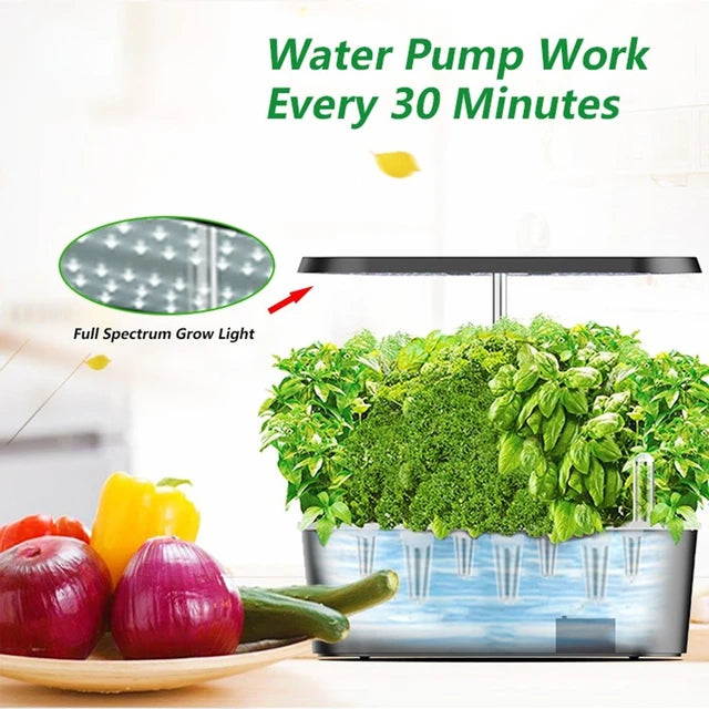 Hydroponic Indoor Herb Grower